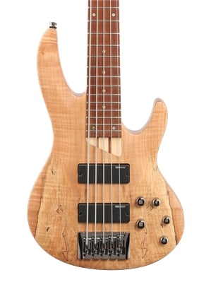 ESP LTD B205SM 5-String Electric Bass Guitar